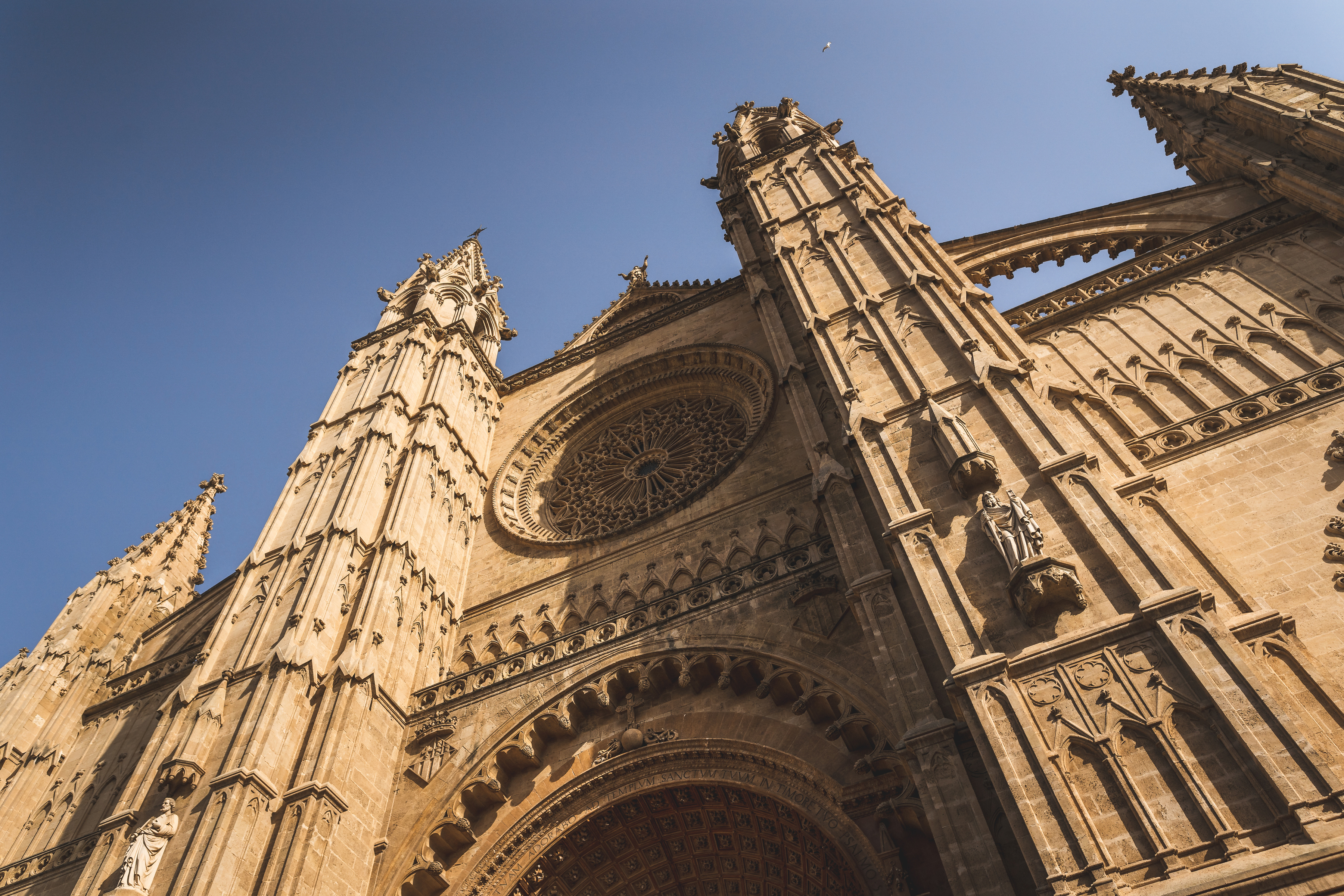 Low-Angle Shot of Catedral-Basílica De Santa María De Mallorca in Palma, Spain